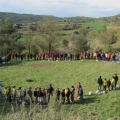62pa-IMG_1174